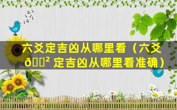 六爻定吉凶从哪里看（六爻 🌲 定吉凶从哪里看准确）